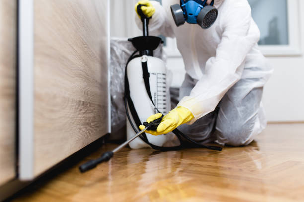 Trusted Wolfdale, PA Pest Control Experts