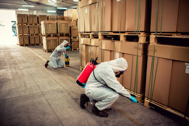 Best Affordable Exterminators  in Wolfdale, PA