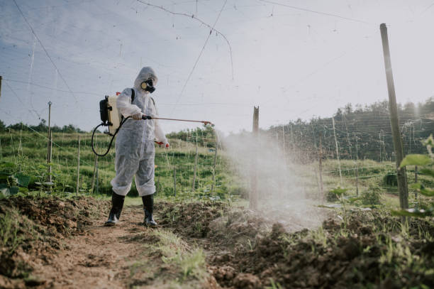 Best Mosquito Control Services  in Wolfdale, PA