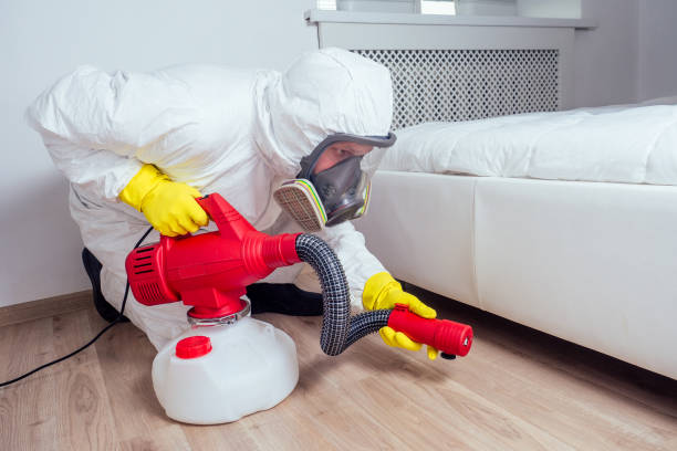 Best Pest Control Near Me in Wolfdale, PA