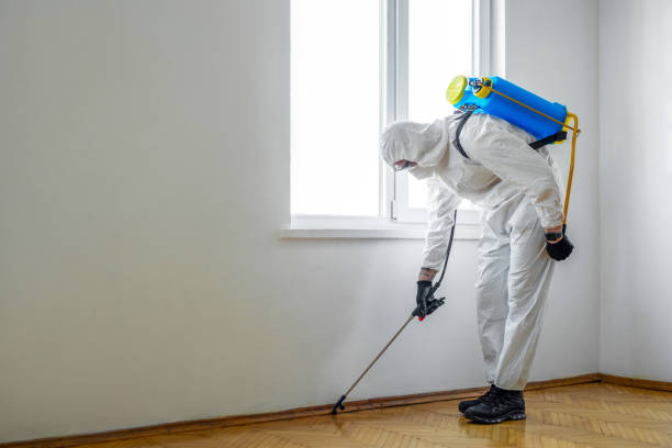 Best Wasp Removal Services  in Wolfdale, PA