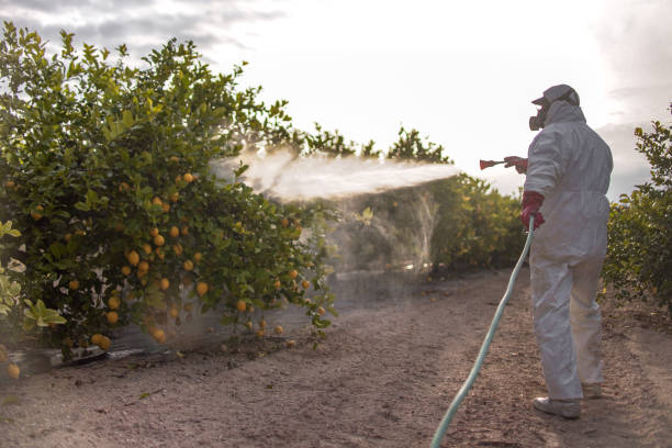 Best Best Pest Control Companies  in Wolfdale, PA